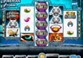         <strong>Buffalo slot online</strong> picture 9