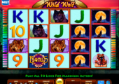         Wheel of Fortune slot online picture 14